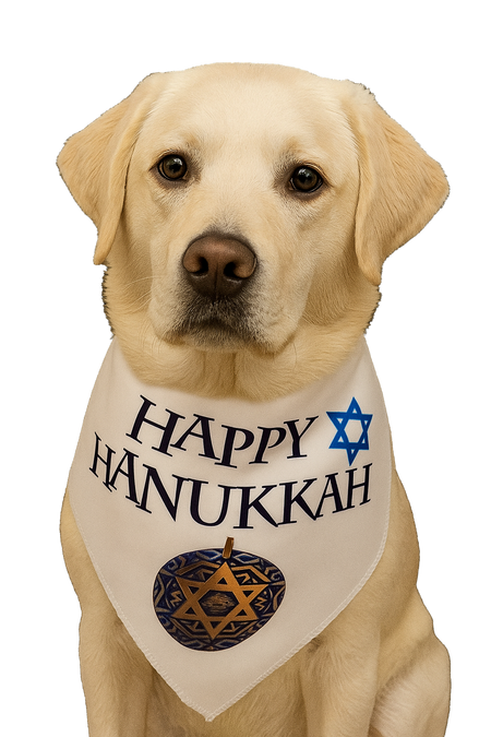 S3520 Happy Hanukkah Star Of David Bandana, White