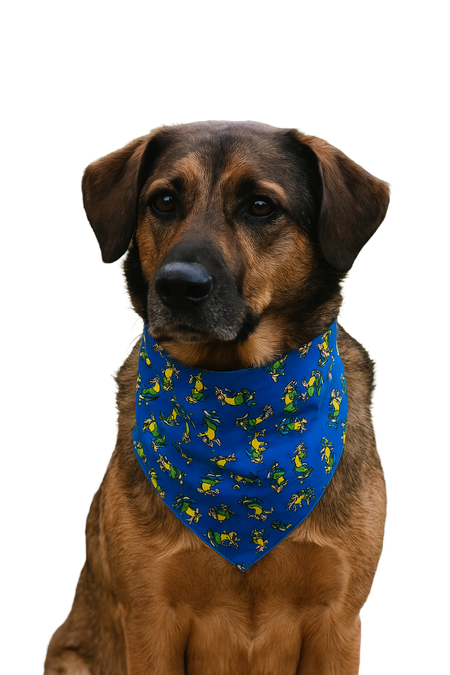 S3056 Skateboard Doggie Bandana, Blue