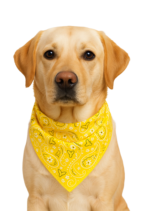 S3068 Paisley & Pawprints Bandana, Yellow