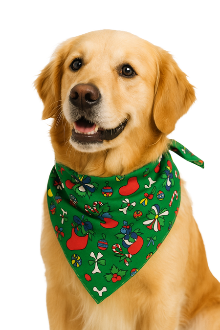 S3069 Christmas Bones & Stockings Doggie Bandana, Green