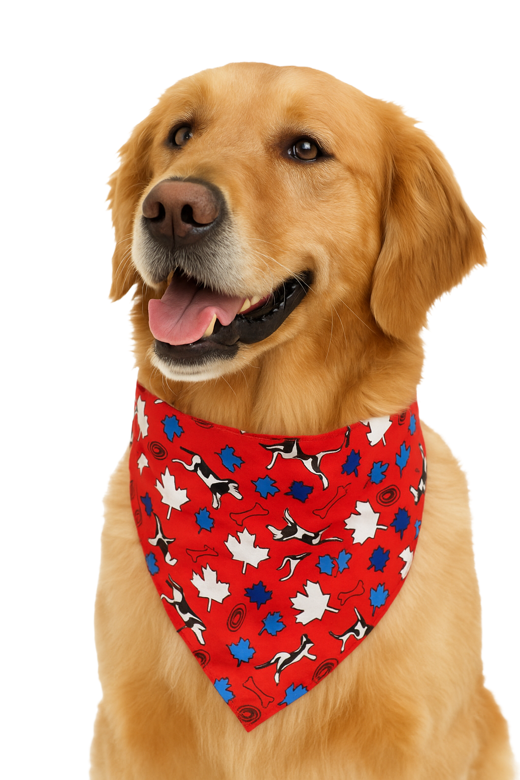 S3006 Maple Leaves & Bones Doggie Bandana, Red 
