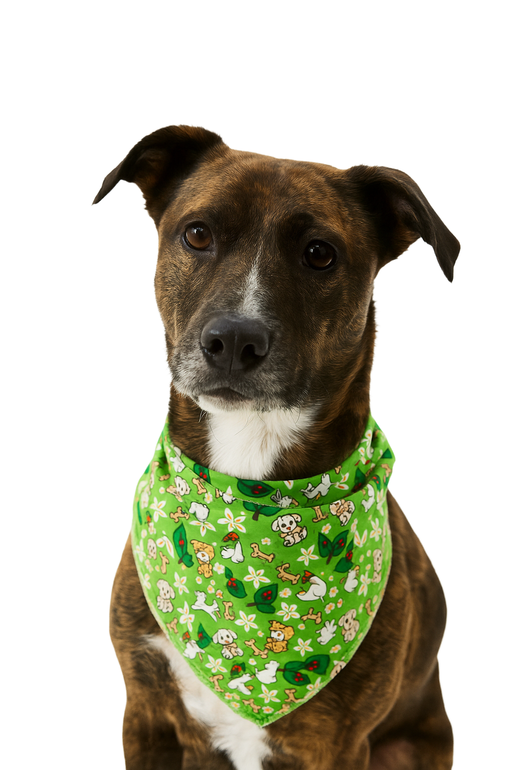 S3070 Bunny & Puppy Bandana, Green