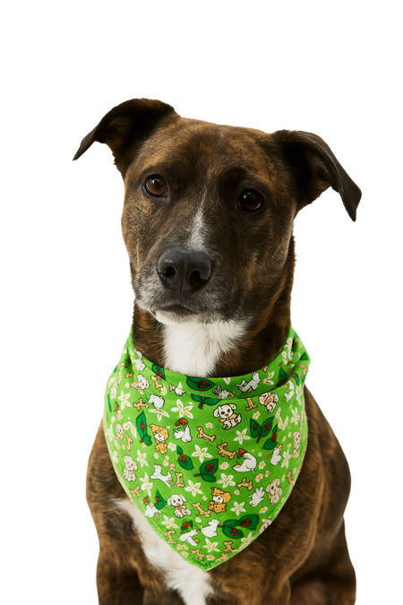 S3070 Bunny & Puppy Bandana, Green