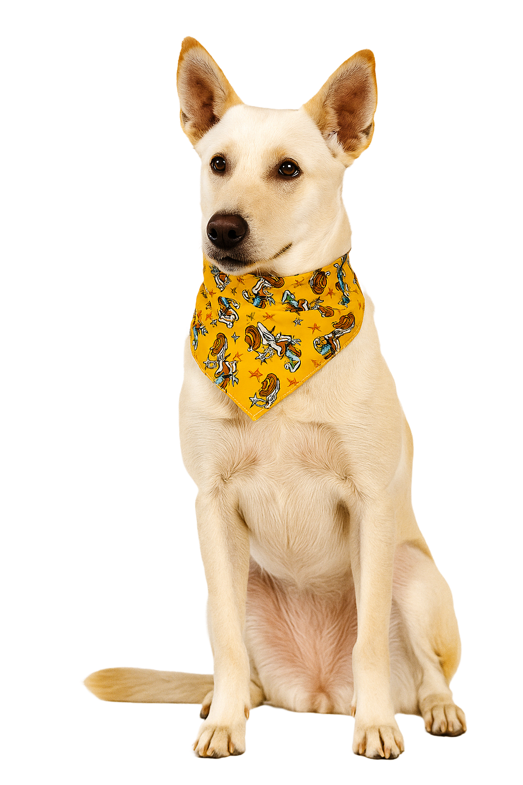 S3081 Doggie Cowboy Bandana 