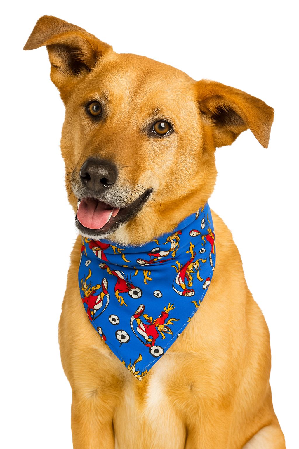 S3084 Soccer Football Doggie Bandana, Blue
