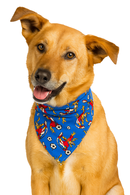 S3084 Soccer Football Doggie Bandana, Blue