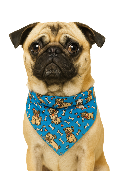 S3085 Doggie Bandana Blue