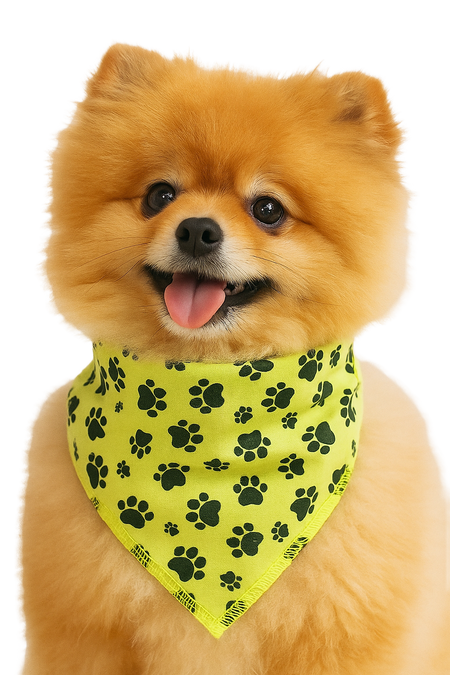 S3088 Black Pawprints Bandana, Neon Yellow