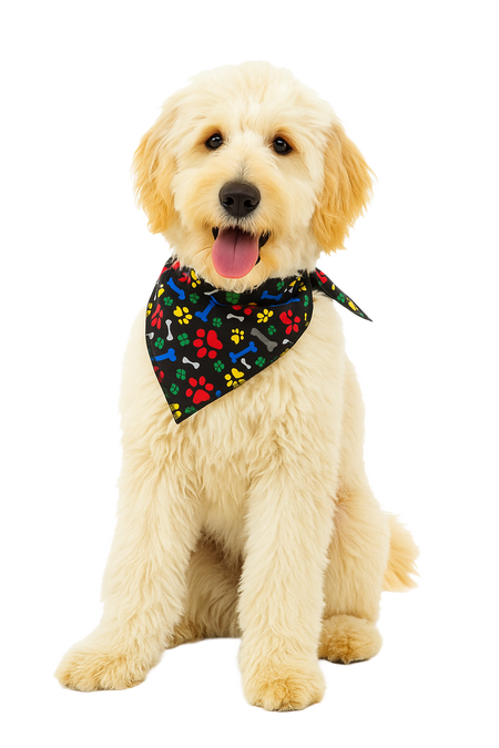 S3092 Pawprints & Bones Bandana, Black