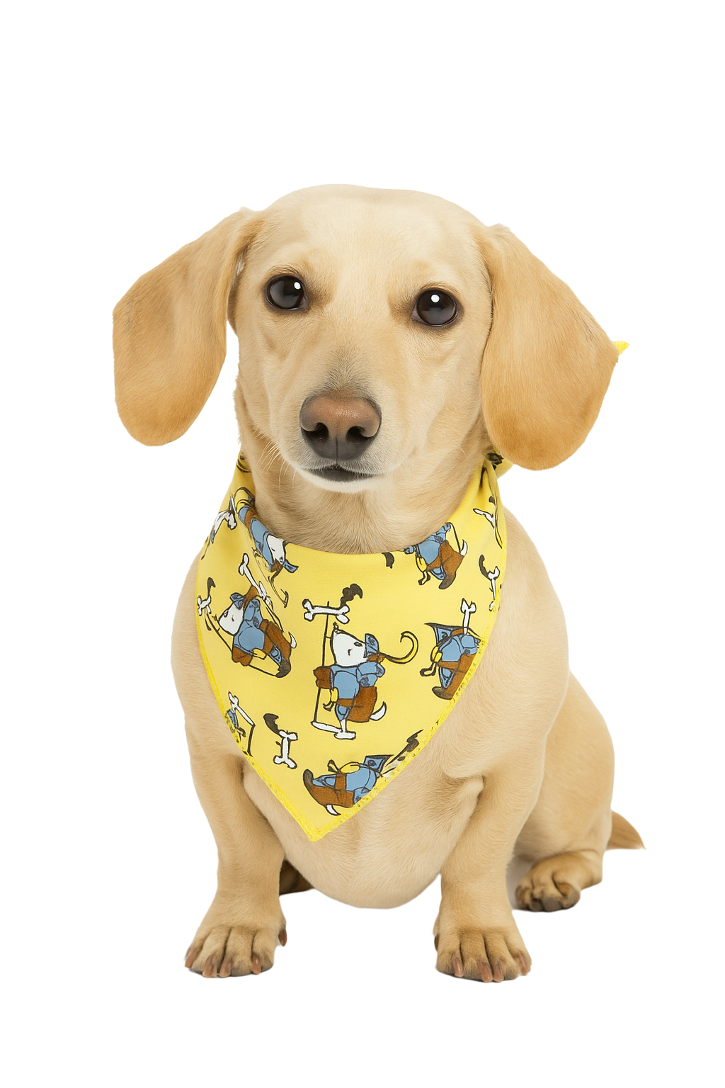 S3098 Night In Shining Armor Doggie Bandana, Brown