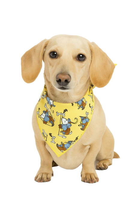 S3098 Night In Shining Armor Doggie Bandana, Brown