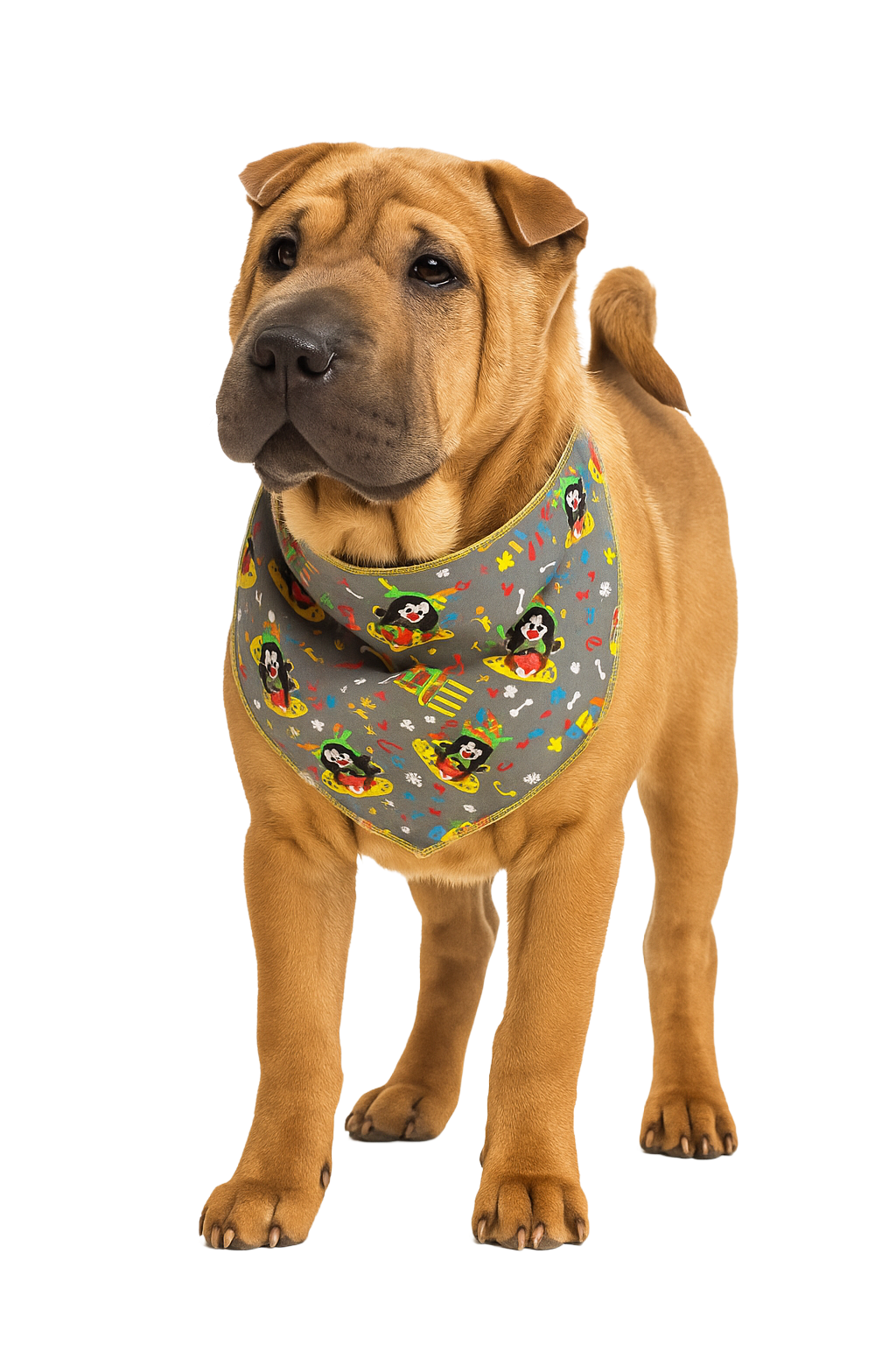 SA3011 Birthday Clown Doggy Bandana, Grey