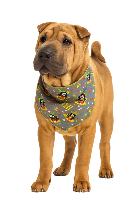 SA3011 Birthday Clown Doggy Bandana, Grey