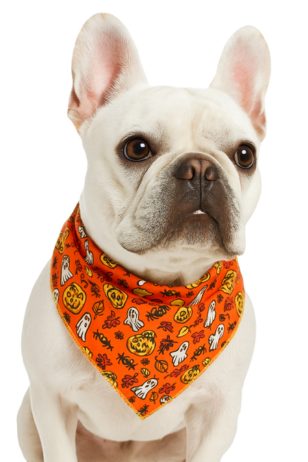 SA3141 Spooky Doggie Bandana, Brown