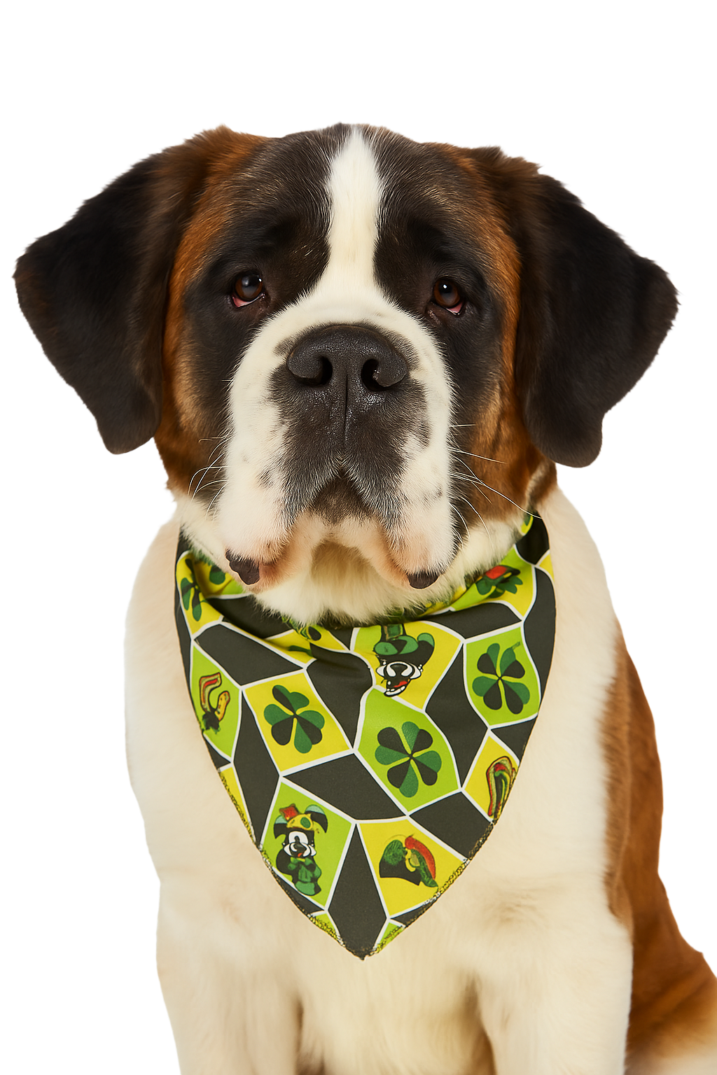PKS8 60 Assorted ST.PATRICK'S DAY Tieback Dog Grooming Bandanas / Groomers Bulk Package