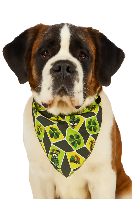 PKS8 60 Assorted ST.PATRICK'S DAY Tieback Dog Grooming Bandanas / Groomers Bulk Package