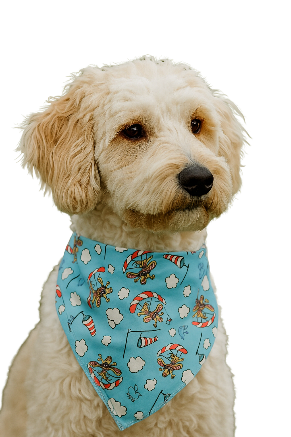 SA3155 Skydiving Parachute Doggie Bandana, Blue