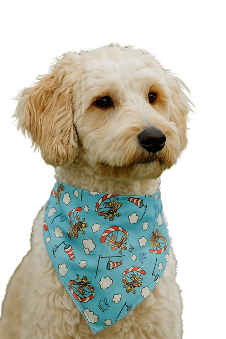SA3155 Skydiving Parachute Doggie Bandana, Blue