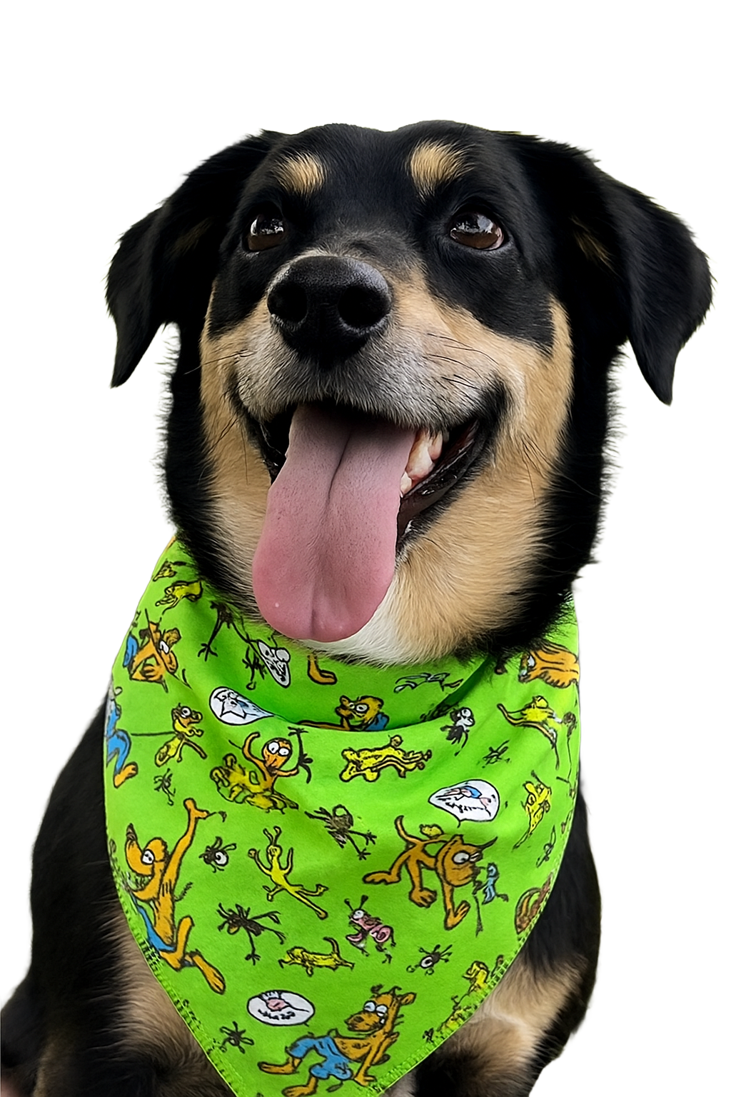 SA3158 Gone Fishing Doggie Bandana, Blue