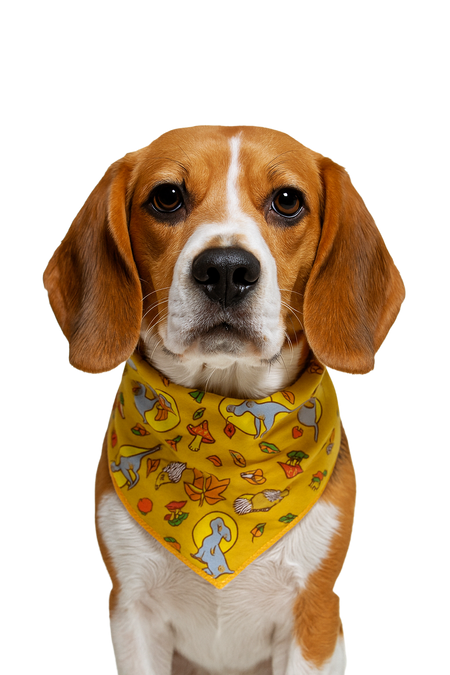 SA3176 Fall Nature Doggie Bandana