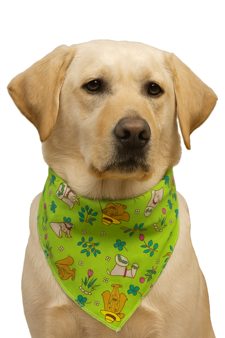 SA3186 Summer Bandana