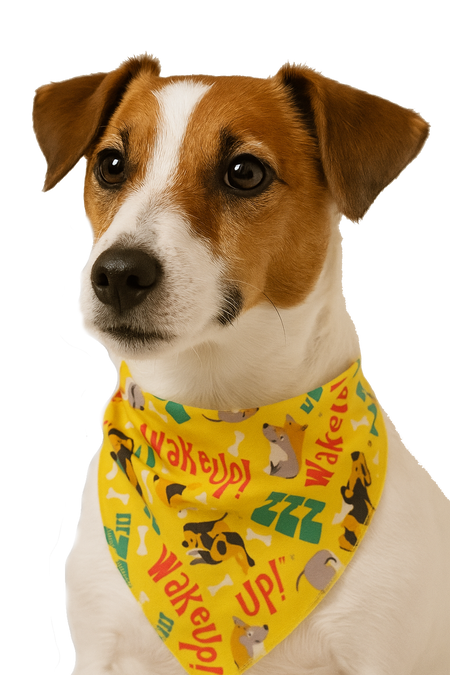 SA3191 Wake Up Sleepy Doggie Bandana, Yellow