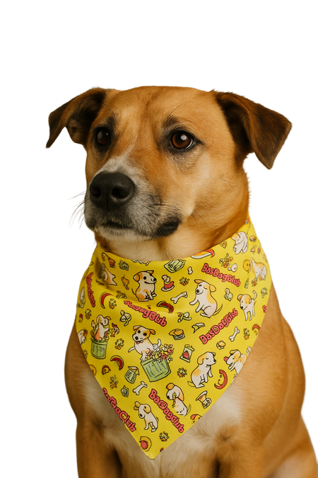 SA3045 Bad Dog Club Bandana, Yellow