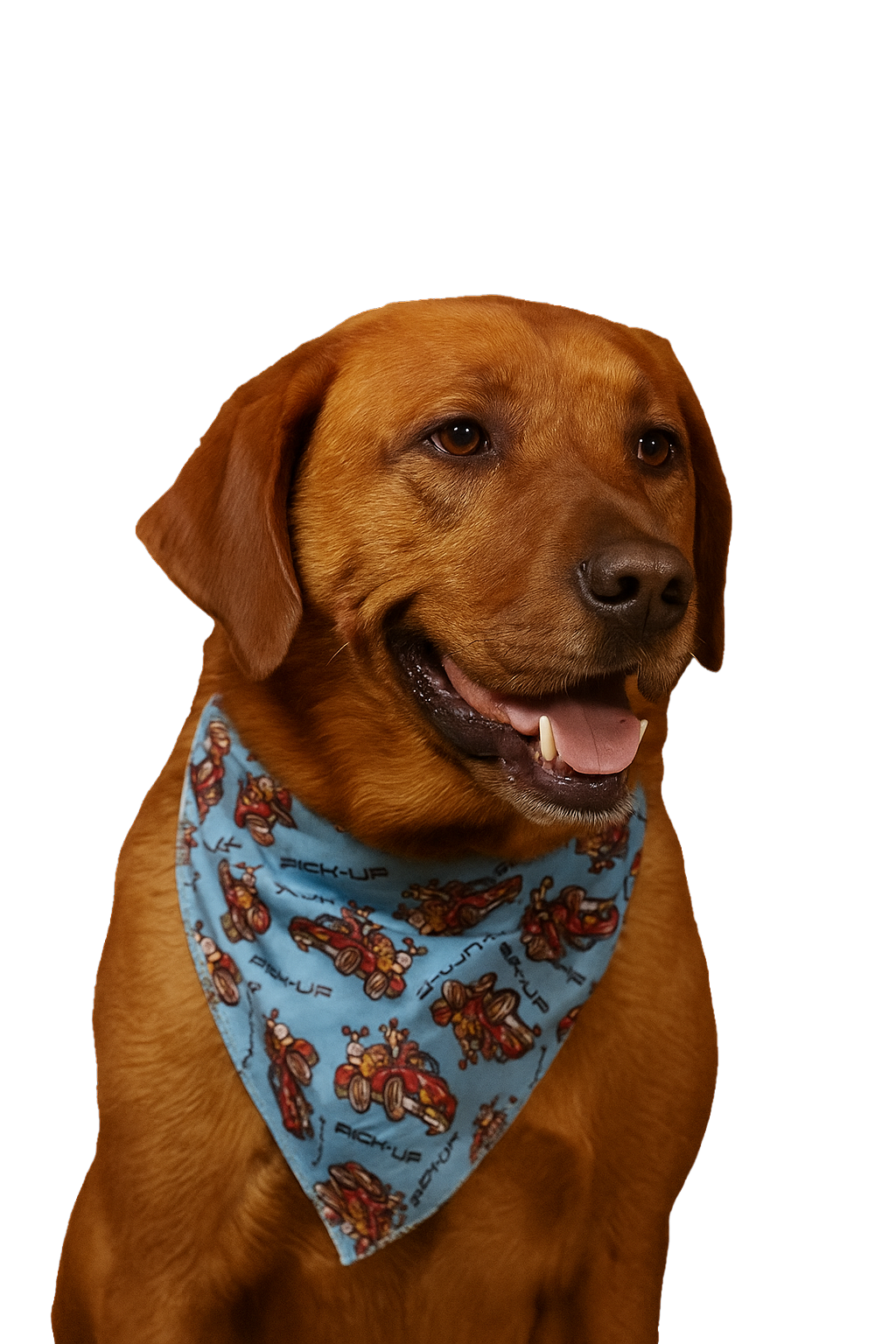 SA3085 PIck Up Doggie Bandana, Blue