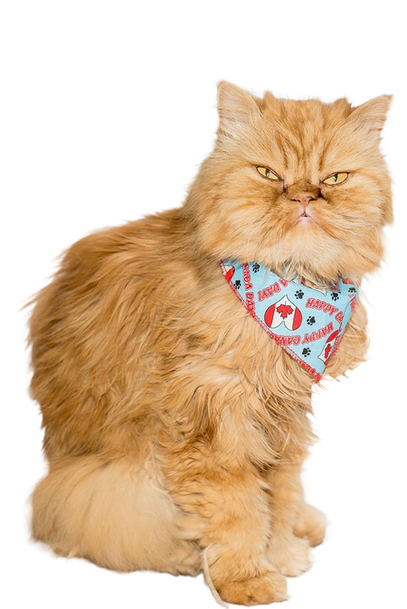 SA3007 Happy Canada Day Doggie Bandana, Blue