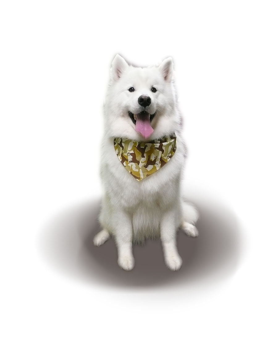SA3031 - Camo Dog Bandana, Brown