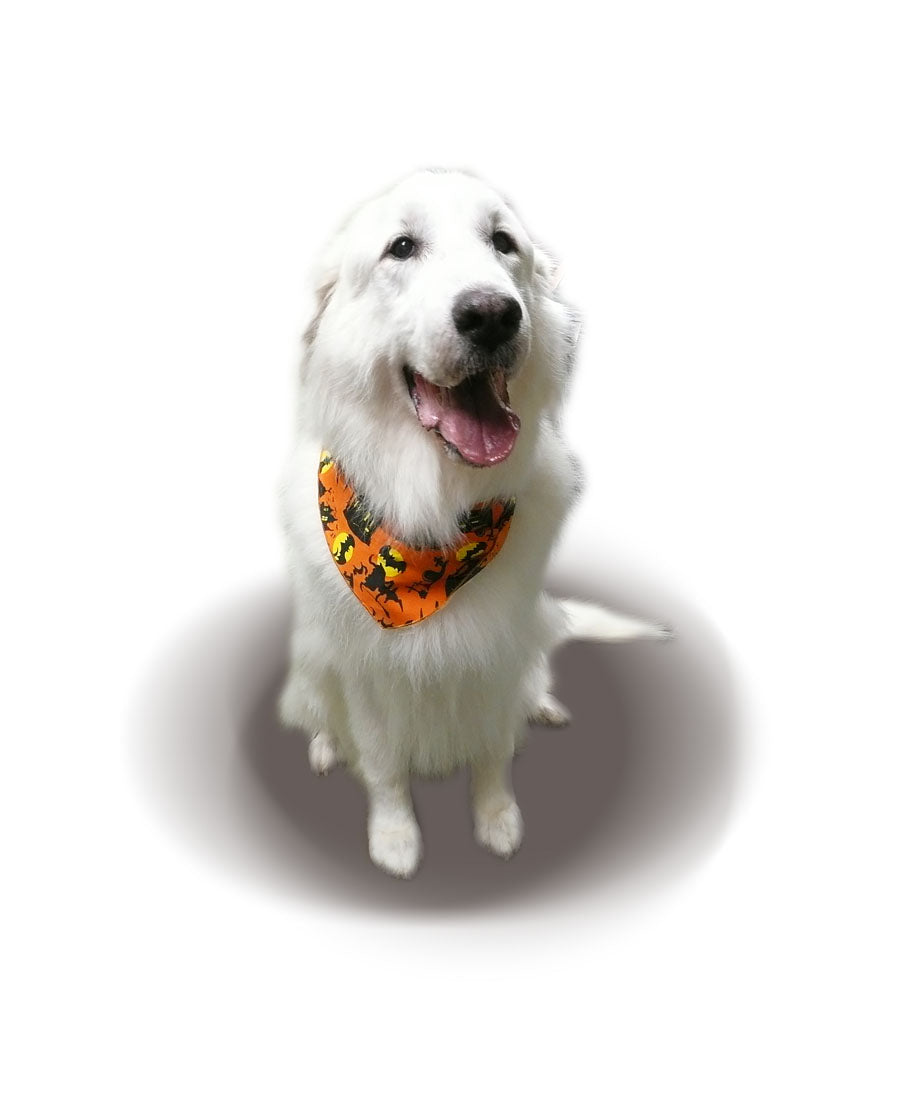 SA3058 - Haunted House Cemetary Dog Bandana, Orange