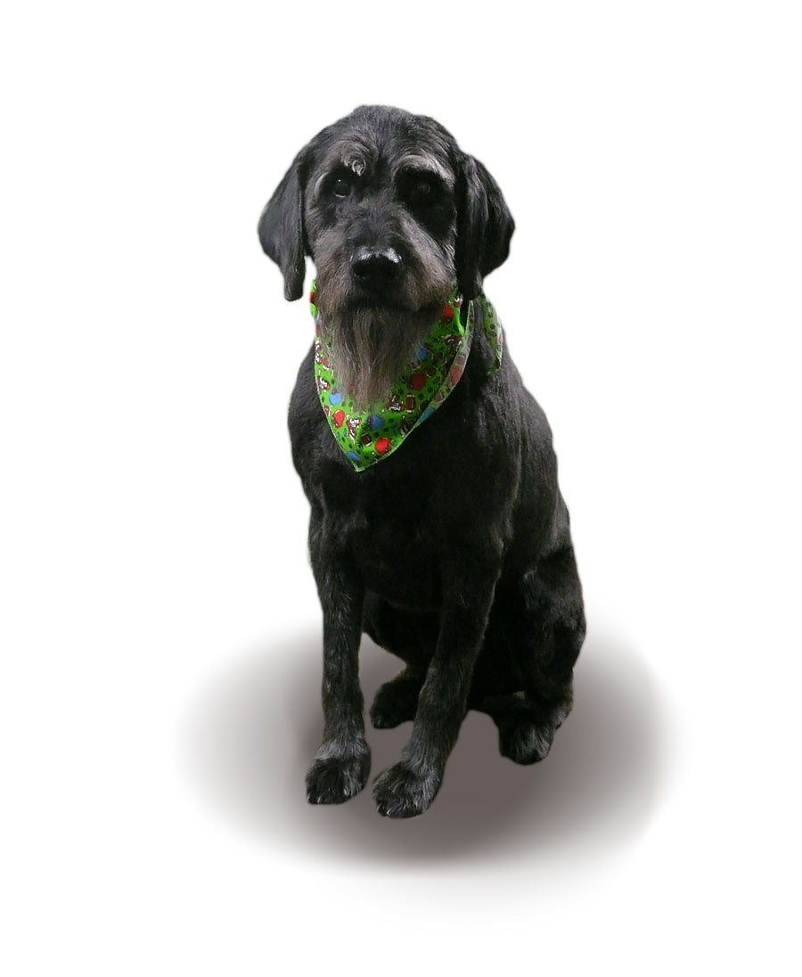 SA3019 Football Player Dog Bandana, Green