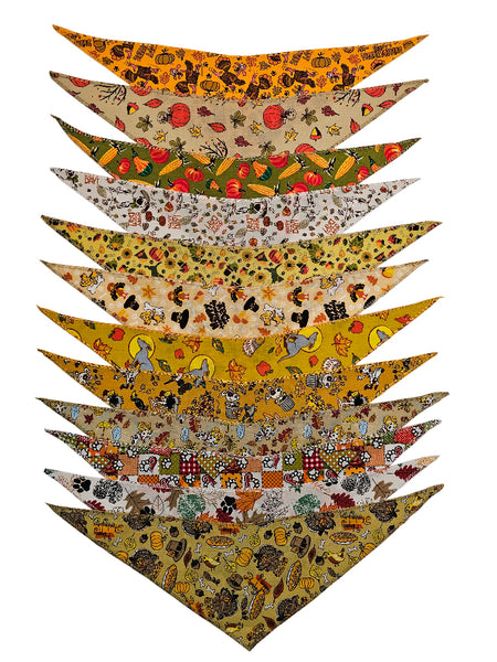 SPKS11 Bandanas Variety Pack Per Size - 12 assorted FALL THANKSGIVING bandanas  