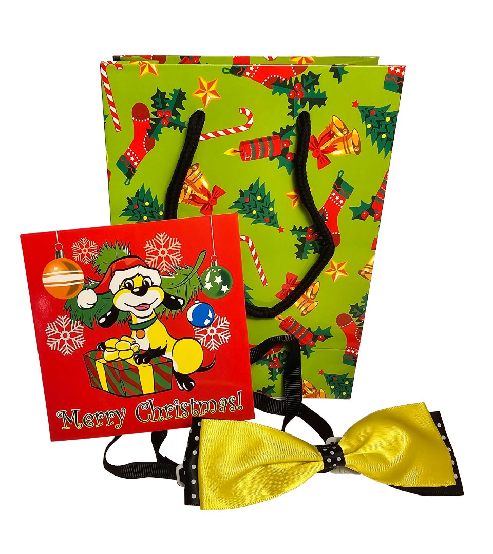 HG4 Holiday Gift