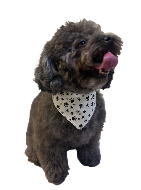 S3200 Black Pawprints Bandana, White