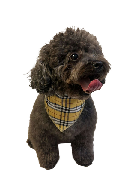 S3124 Plaid Bandana