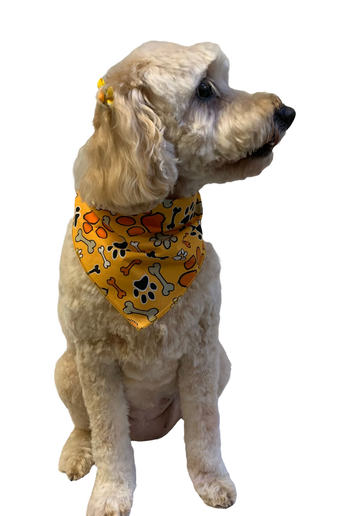 S3263 Thanksgiving Bandana
