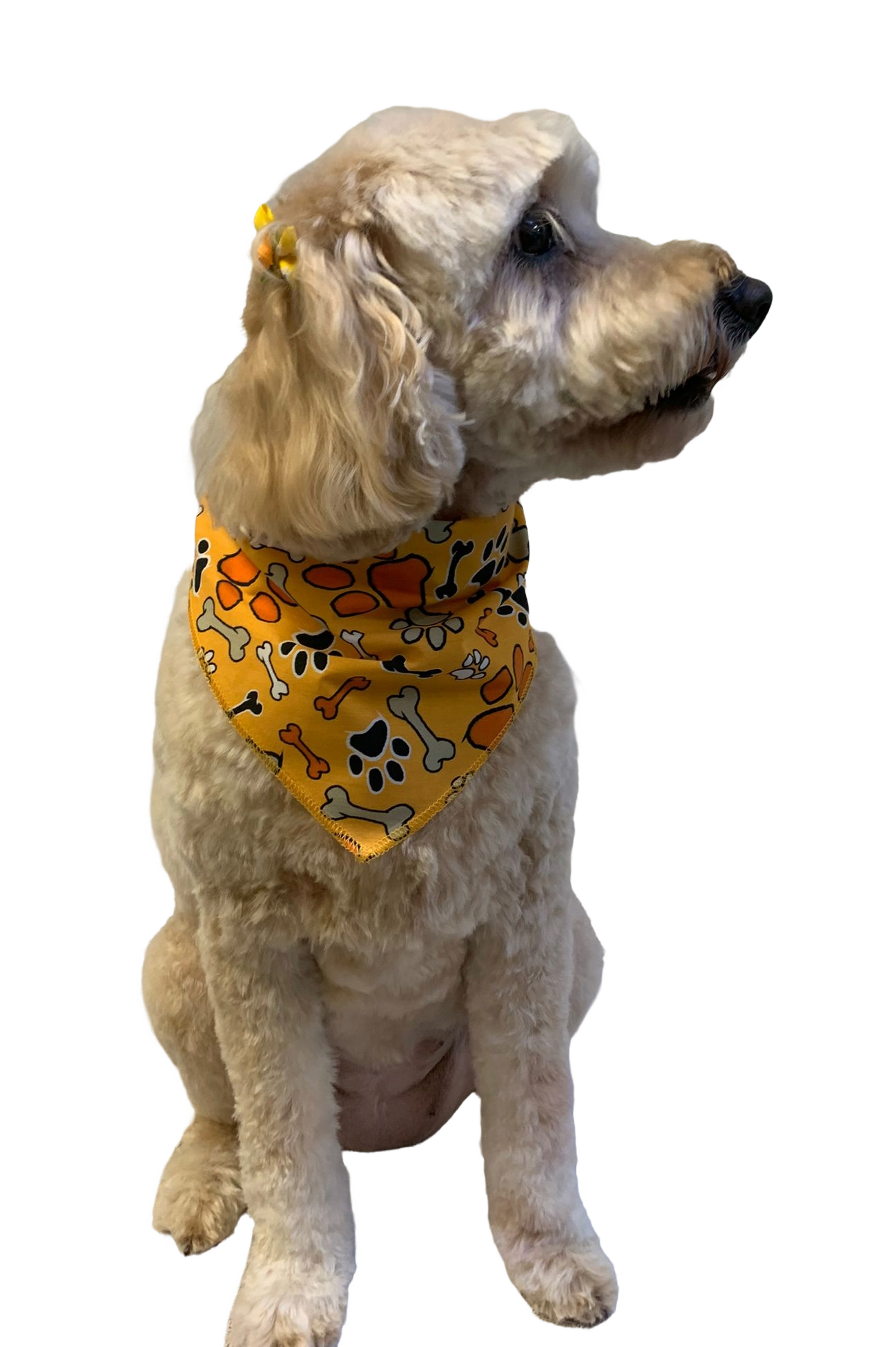 S3263 Thanksgiving Bandana