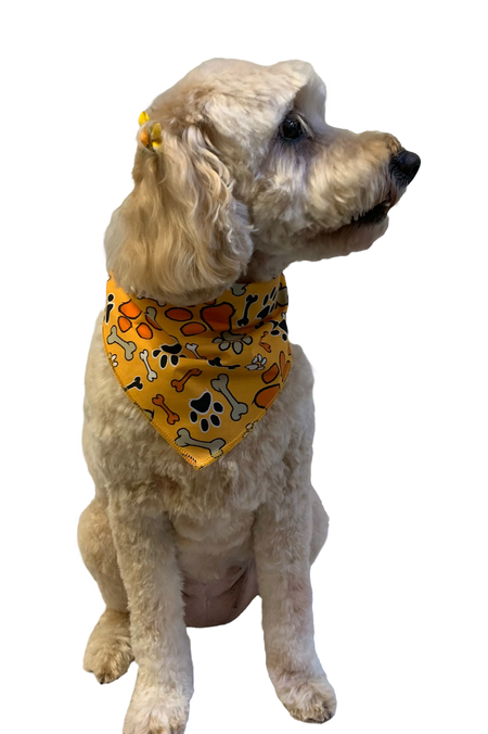 S3263 Thanksgiving Bandana