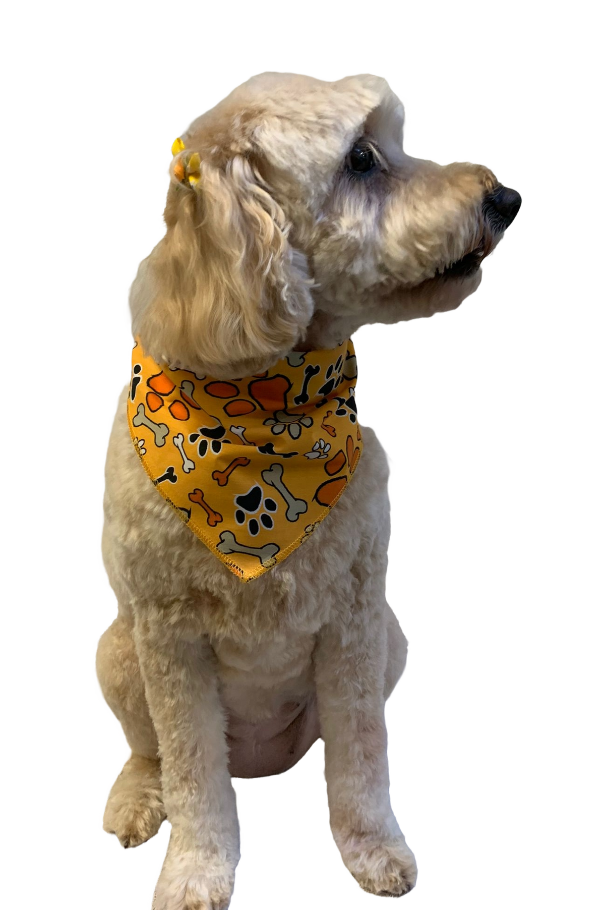 S3263 Thanksgiving Bandana