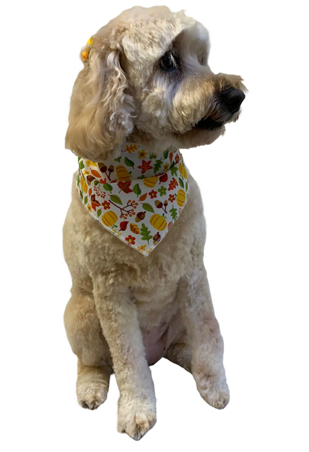 S3267 Autumn Bandana Leaves, Pumpkins