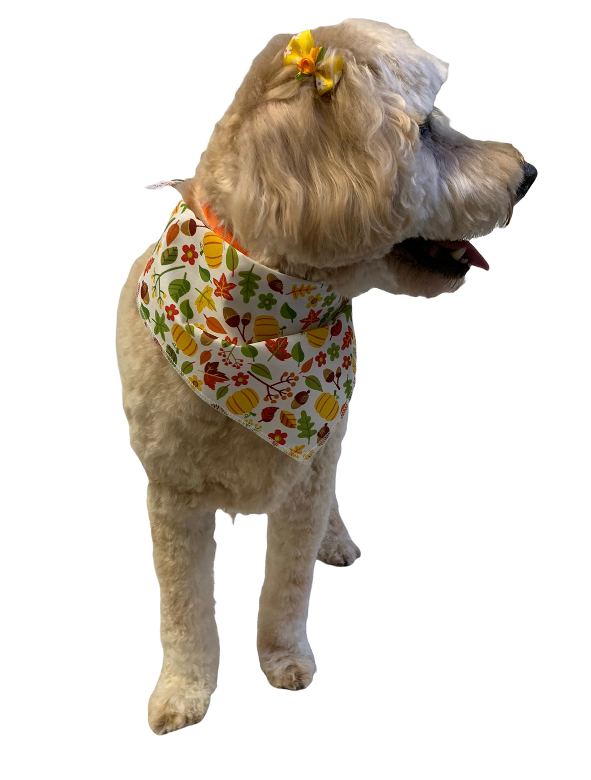 S3267 Autumn Bandana Leaves, Pumpkins
