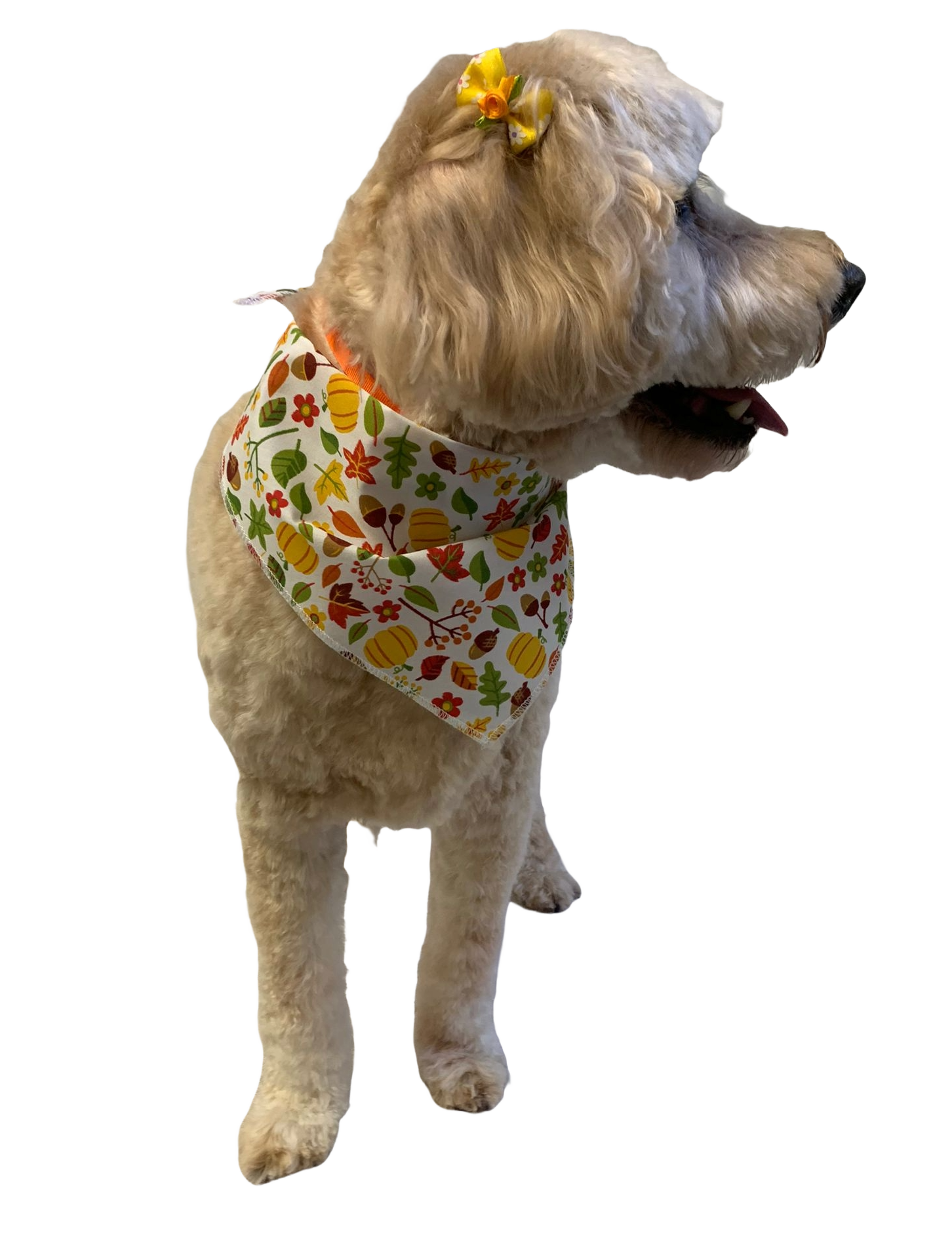 S3267 Autumn Bandana Leaves, Pumpkins