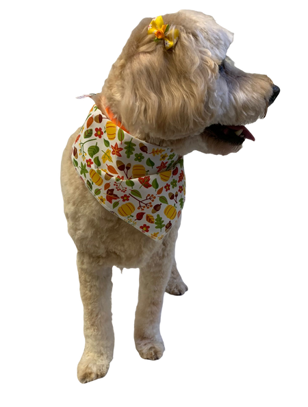 S3267 Autumn Bandana Leaves, Pumpkins