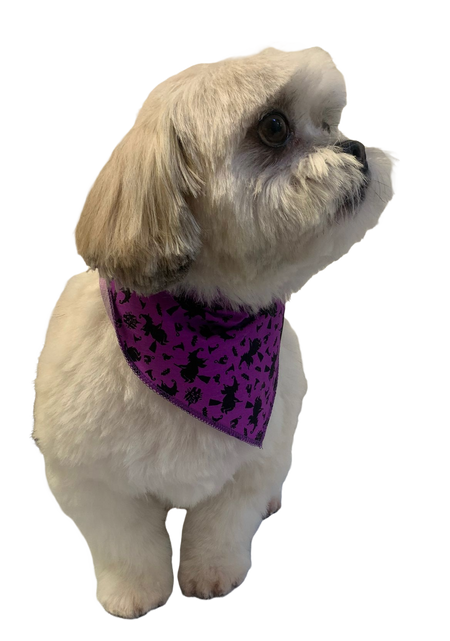 S3031 Halloween Bandana