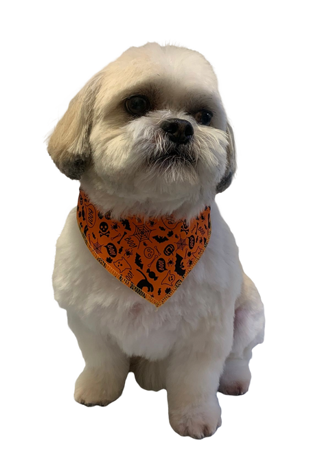 S3020 Halloween Bandana