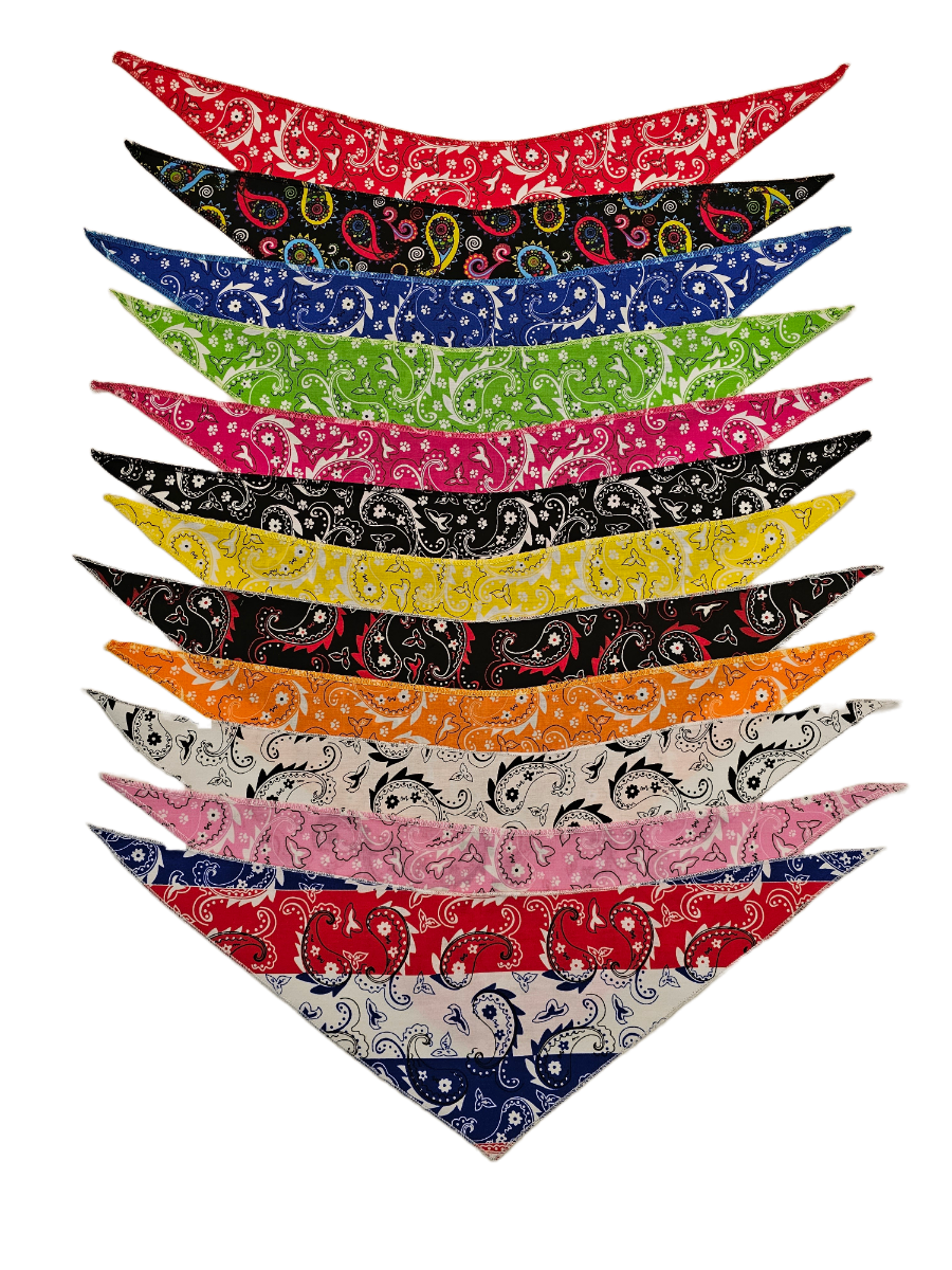 SPKS2 Bandanas Variety Pack Per Size - 12 assorted PAISLEY bandanas  
