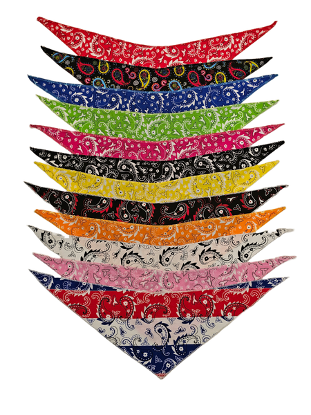 SPKS2 Bandanas Variety Pack Per Size - 12 assorted PAISLEY bandanas  