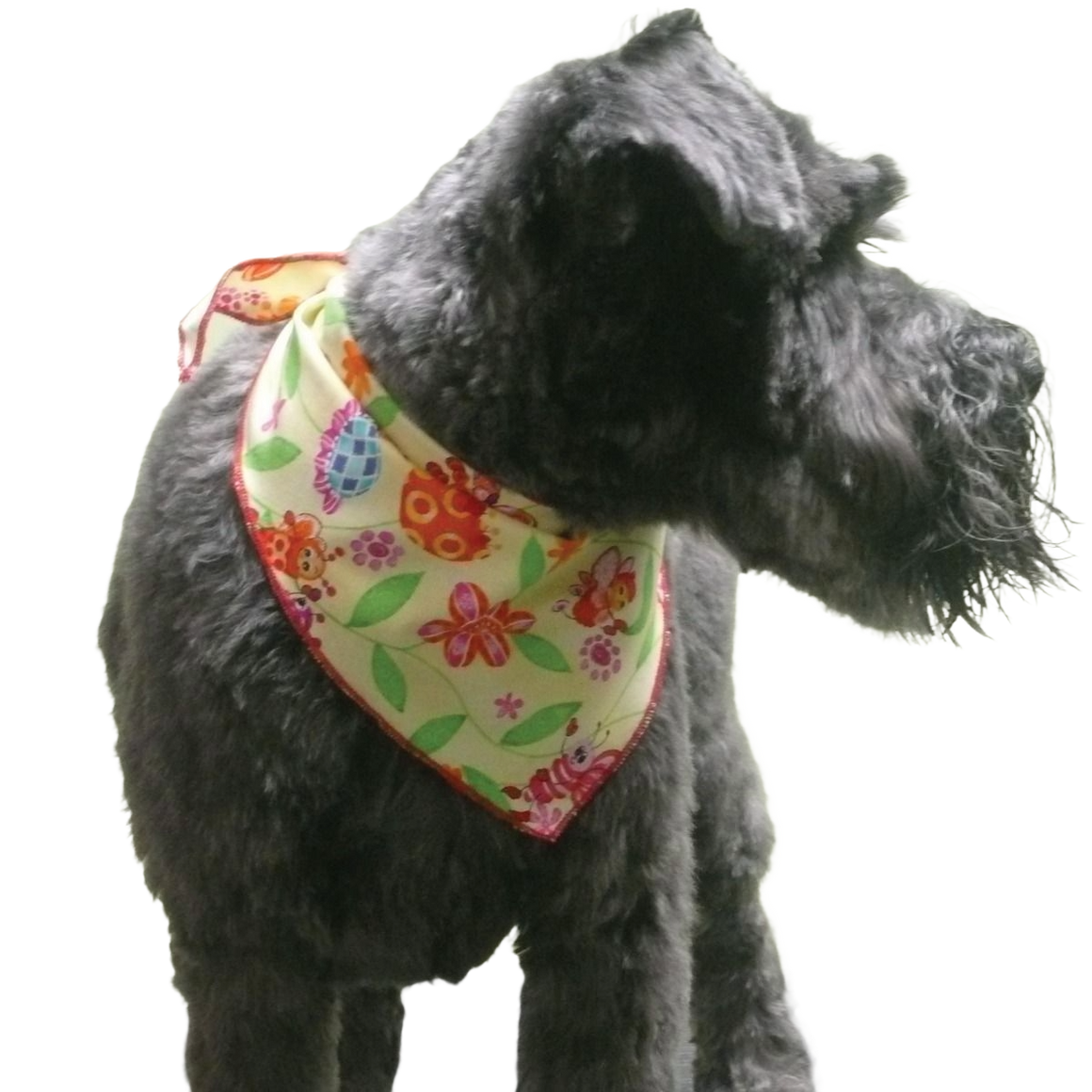 SPKS10 Bandanas Variety Pack Per Size - 12 assorted SPRING SUMMER bandanas  