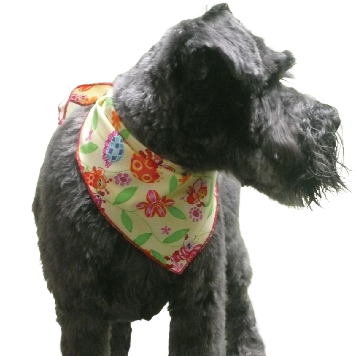 SPKS10 Bandanas Variety Pack Per Size - 12 assorted SPRING SUMMER bandanas  
